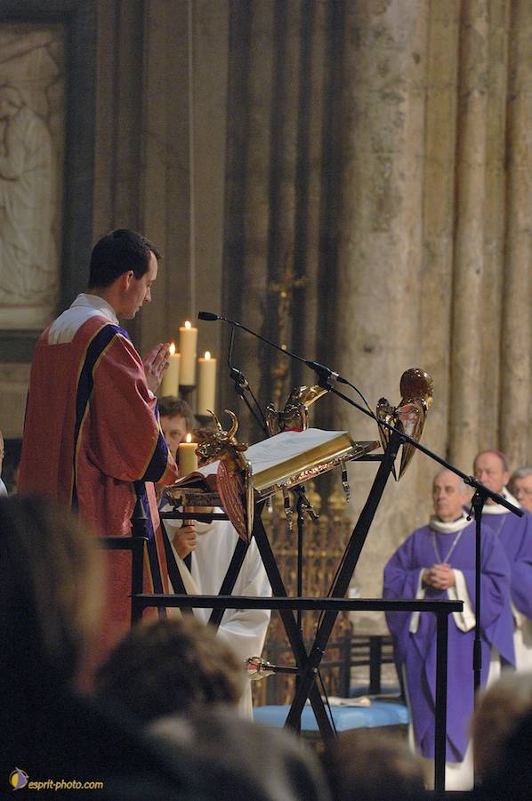 Nom de l'image : D2142876_1_(c)Norbert-JUNG — Description :